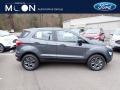 2020 Smoke Metallic Ford EcoSport S  photo #1