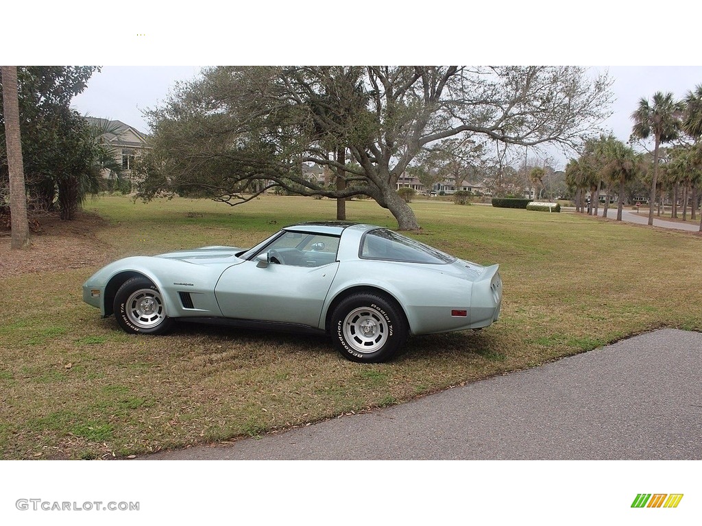 Silver Green 1982 Chevrolet Corvette Coupe Exterior Photo #138595023