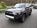Magnetic Gray Metallic - 4Runner TRD Off-Road 4x4 Photo No. 51