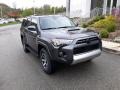Magnetic Gray Metallic - 4Runner TRD Off-Road 4x4 Photo No. 52