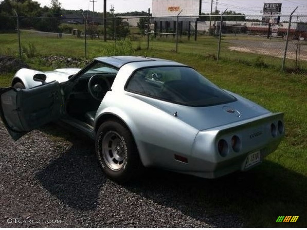 1982 Corvette Coupe - Silver Green / Silver Green photo #6