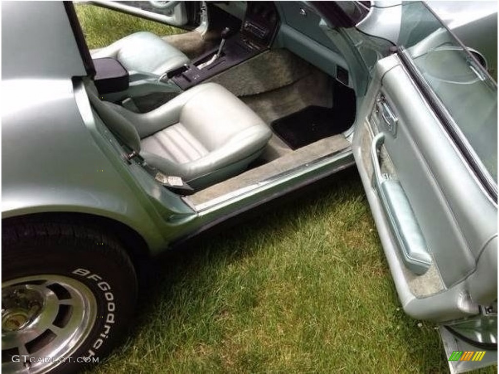 1982 Corvette Coupe - Silver Green / Silver Green photo #7