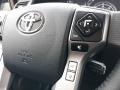 Magnetic Gray Metallic - 4Runner Limited 4x4 Photo No. 5