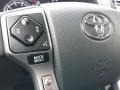 Magnetic Gray Metallic - 4Runner Limited 4x4 Photo No. 6