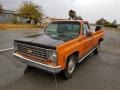 1976 Orange Chevrolet C/K C20 Custom Deluxe Regular Cab  photo #1