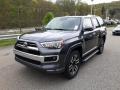 Magnetic Gray Metallic - 4Runner Limited 4x4 Photo No. 54
