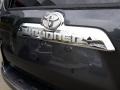 Magnetic Gray Metallic - 4Runner Limited 4x4 Photo No. 58
