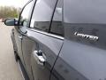 Magnetic Gray Metallic - 4Runner Limited 4x4 Photo No. 59