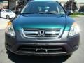 2003 Clover Green Pearl Honda CR-V LX 4WD  photo #2