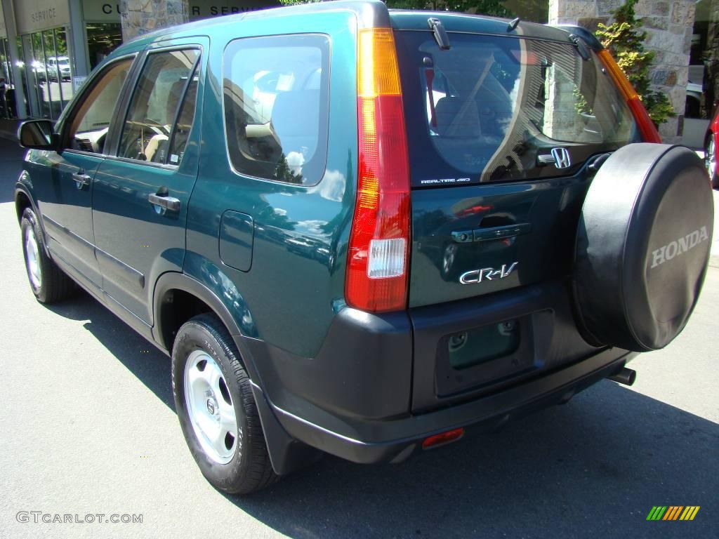 2003 CR-V LX 4WD - Clover Green Pearl / Saddle photo #4