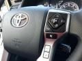 Magnetic Gray Metallic - 4Runner Limited 4x4 Photo No. 5