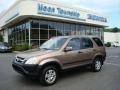 2004 Mojave Mist Metallic Honda CR-V EX 4WD  photo #1