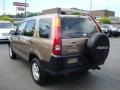 2004 Mojave Mist Metallic Honda CR-V EX 4WD  photo #2