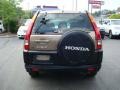 2004 Mojave Mist Metallic Honda CR-V EX 4WD  photo #3