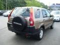 2004 Mojave Mist Metallic Honda CR-V EX 4WD  photo #4
