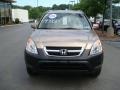 2004 Mojave Mist Metallic Honda CR-V EX 4WD  photo #6