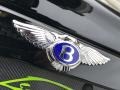 1996 Bentley Azure Standard Azure Model Badge and Logo Photo