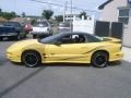 Collector Edition Yellow - Firebird Trans Am WS-6 Coupe Photo No. 4