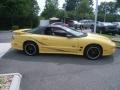 Collector Edition Yellow - Firebird Trans Am WS-6 Coupe Photo No. 9