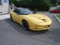 Collector Edition Yellow - Firebird Trans Am WS-6 Coupe Photo No. 10