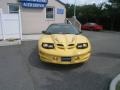 Collector Edition Yellow - Firebird Trans Am WS-6 Coupe Photo No. 11
