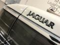 Glacier White - XJ XJS Convertible Photo No. 114