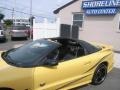 Collector Edition Yellow - Firebird Trans Am WS-6 Coupe Photo No. 23