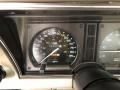 Silver Beige - Corvette Collector Edition Hatchback Photo No. 3