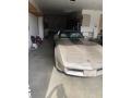 1982 Silver Beige Chevrolet Corvette Collector Edition Hatchback  photo #6