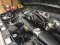 1995 Ford Bronco 5.0 Liter OHV 16-Valve V8 Engine Photo