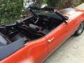 1972 Pontiac LeMans Black Interior Interior Photo