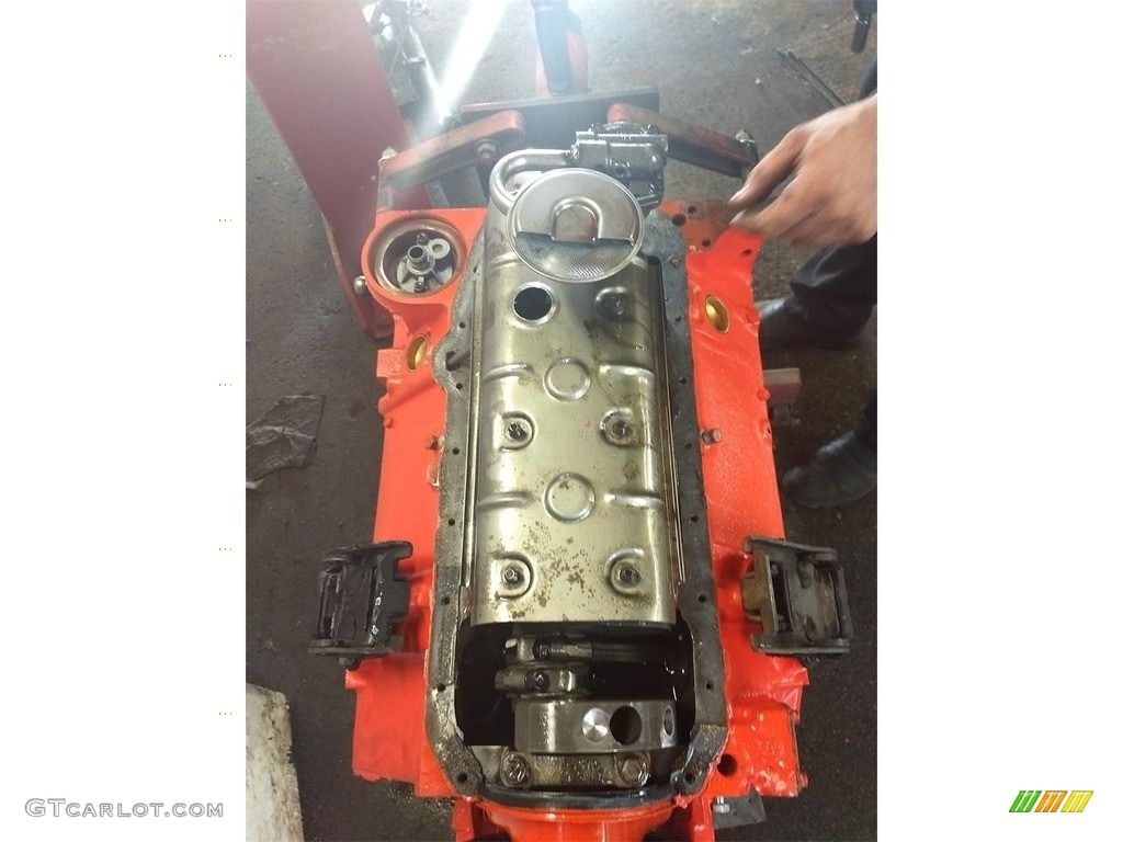 1969 Chevrolet Camaro Z28 Coupe 302 cid Turbo-Fire OHV 16-Valve V8 Engine Photo #138659136