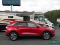 2020 Rapid Red Metallic Ford Escape SEL 4WD  photo #6