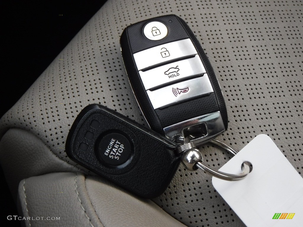 2016 Kia Optima EX Keys Photo #138670452