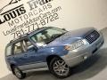 Newport Blue Pearl - Forester 2.5 X L.L.Bean Edition Photo No. 126
