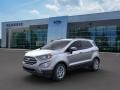 2020 Moondust Silver Metallic Ford EcoSport SE 4WD  photo #1