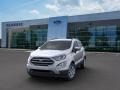 2020 Moondust Silver Metallic Ford EcoSport SE 4WD  photo #2