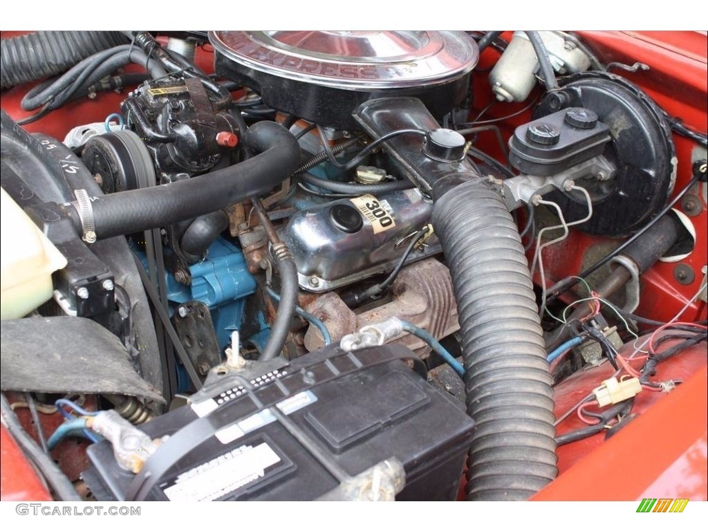 1979 Dodge D Series Truck D150 Li'l Red Truck 360 ci OHV 16-Valve V8 Engine Photo #138681459