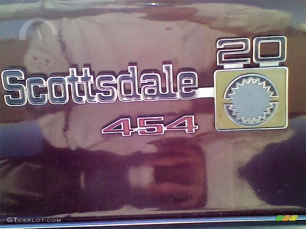 1979 Chevrolet C/K C20 Scottsdale Camper Special Regular Cab Marks and Logos Photo #138682332