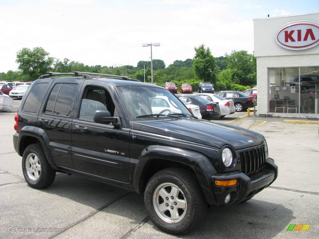 2002 Liberty Limited 4x4 - Black / Taupe photo #1