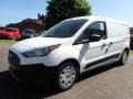 Frozen White - Transit Connect XL Van Photo No. 10