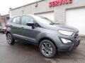 Smoke Metallic - EcoSport S Photo No. 9