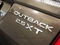 2009 Subaru Outback 2.5XT Limited Wagon Badge and Logo Photo