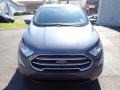 2020 Smoke Metallic Ford EcoSport SE  photo #8