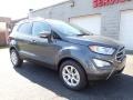 2020 Smoke Metallic Ford EcoSport SE  photo #9