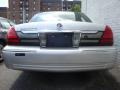 Silver Birch Metallic - Grand Marquis GS Photo No. 3