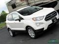 White Platinum Metallic - EcoSport SE Photo No. 30