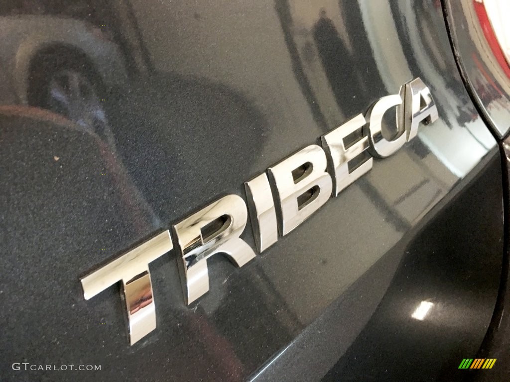 2009 Subaru Tribeca Limited 7 Passenger Marks and Logos Photos