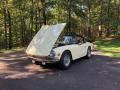 Yellow - TR6  Photo No. 8