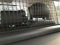 Santorini Black Metallic - Range Rover HSE Photo No. 113